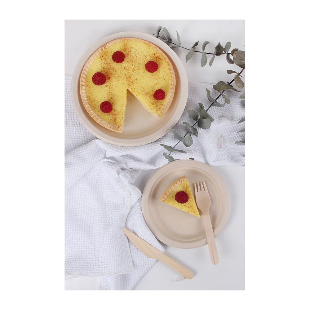 White Magic Eco Basics Biodegradable Sugarcane Plate - Image 8