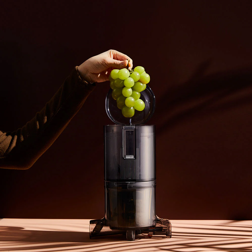 Hurom H-310A Slow Juicer - Image 9