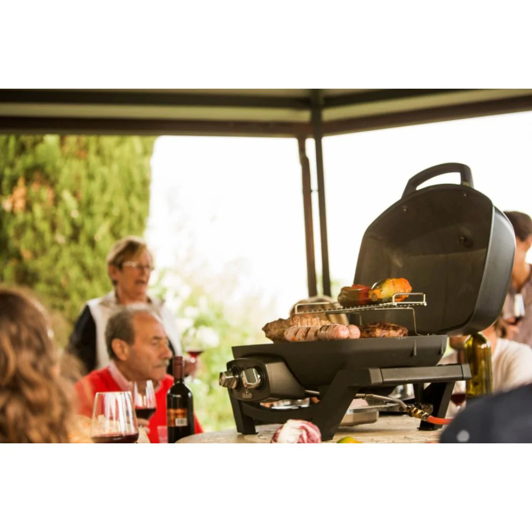 Napoleon TravelQ Pro 285 Grill - Image 4