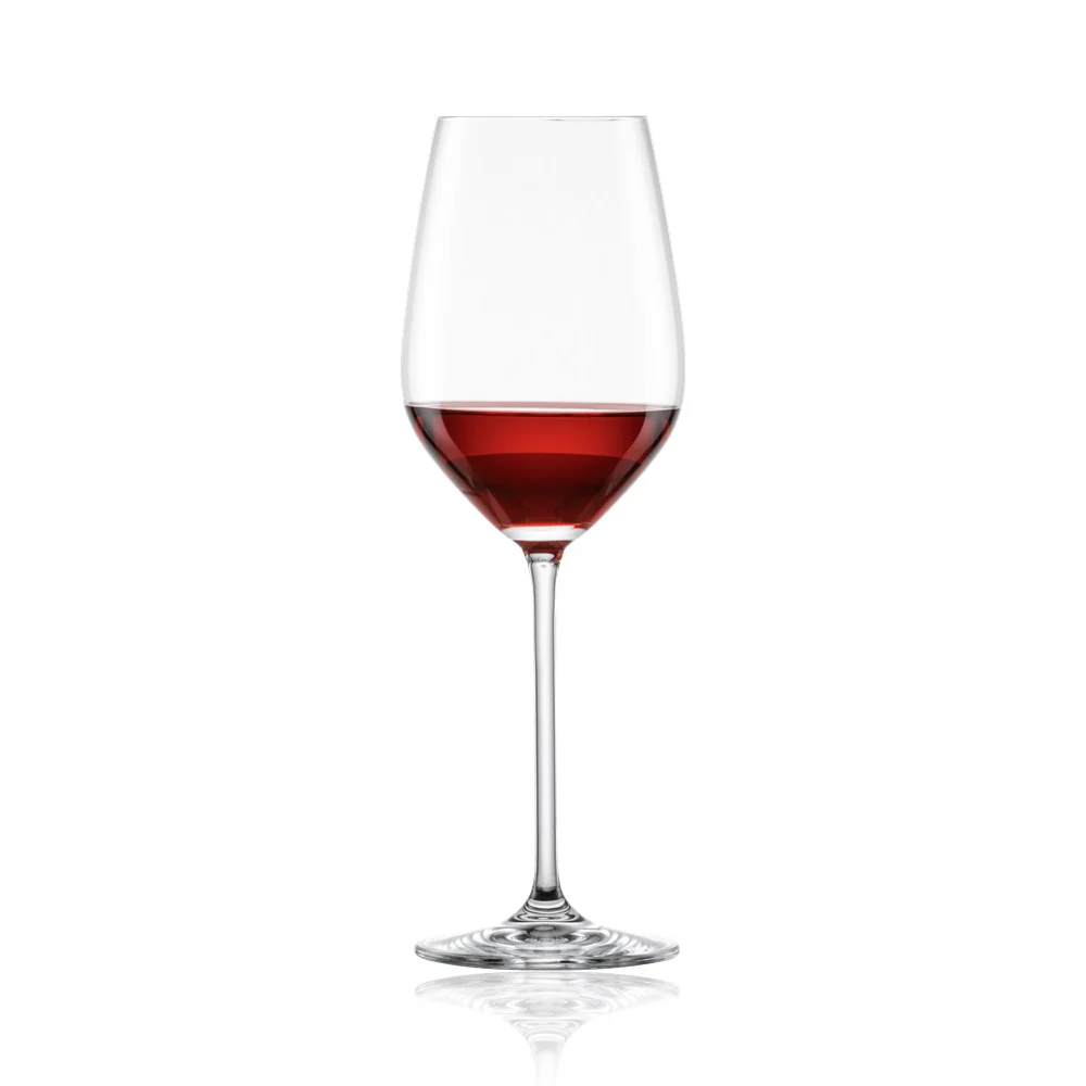 Schott Zwiesel Tritan Crystal Fortissimo Water / Red Wine Glass, 505 mL - Box of 6