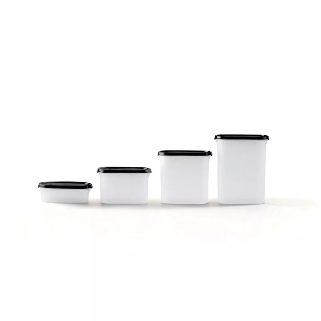 Tupperware Oval Modular Dry Food Container (1.1L) TP0010 - Image 3