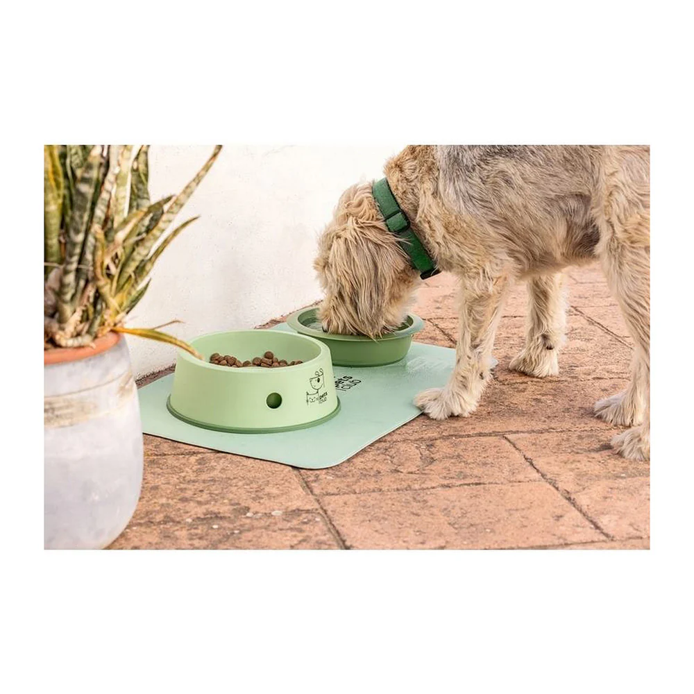 Vigar Pets Club 3 In 1 Feeder Bowl - Image 6
